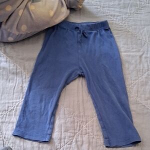 Primary Cloth Diaper Friendly Pull On Pants In Blue